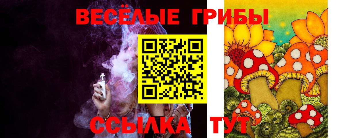 Домодедово  Псилоцибиновые грибы ЛСД  Вход с VPN 